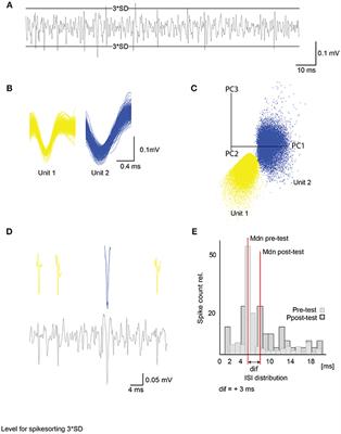 Learning and Its Neural Correlates in a Virtual Environment for <mark class="highlighted">Honeybees</mark>